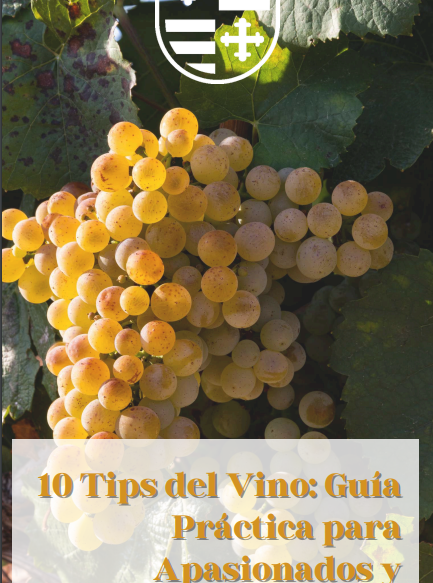 10 Tips del Vino GUIA para Apasionados y Novatos - Bodegas Muñoz