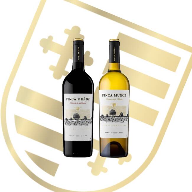 Cata Online Nuevo Curso Bodegas Muñoz